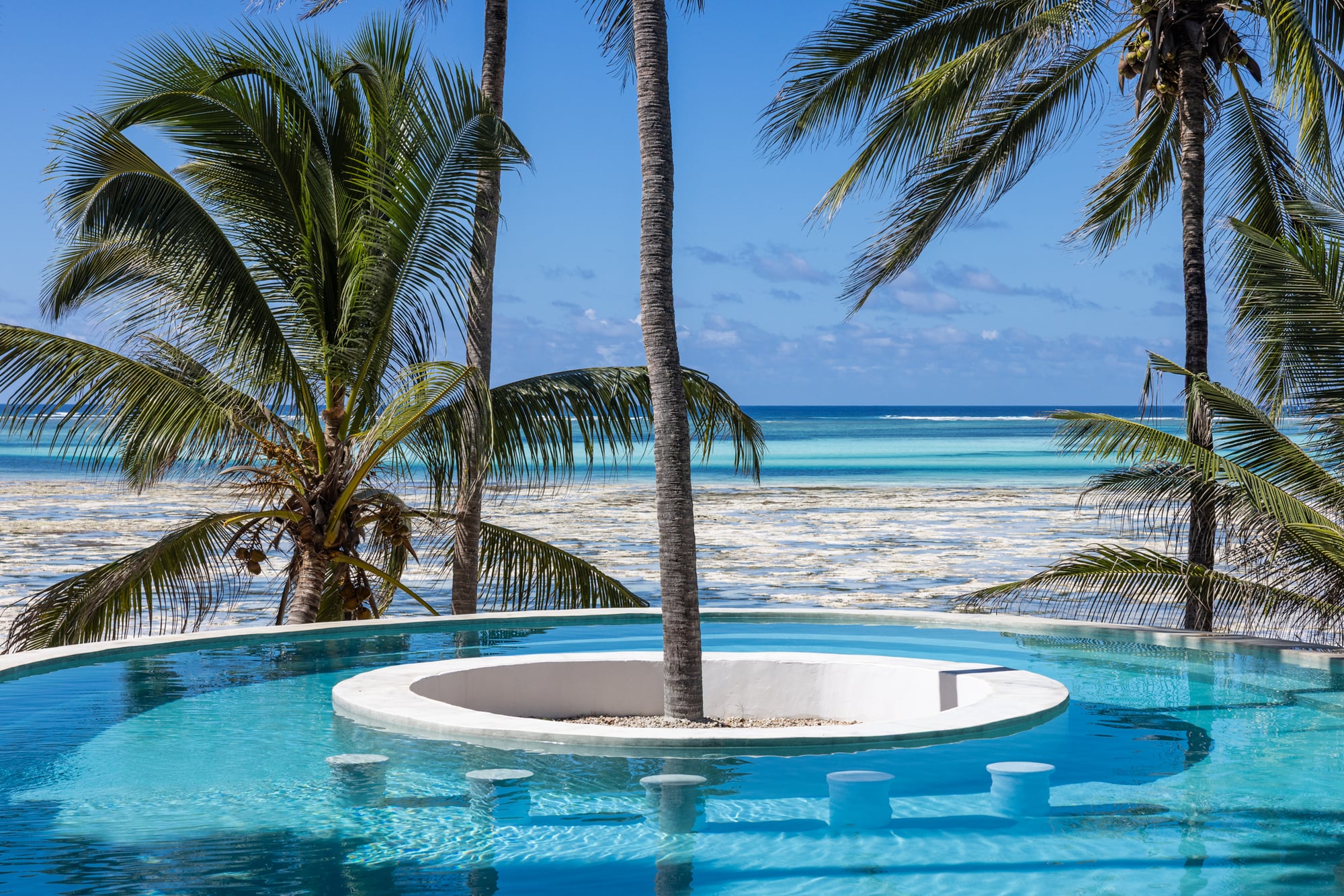 The Asili pool with a palm growing from the island at its centre and seats set below the waterline, the reef breaking beyond.