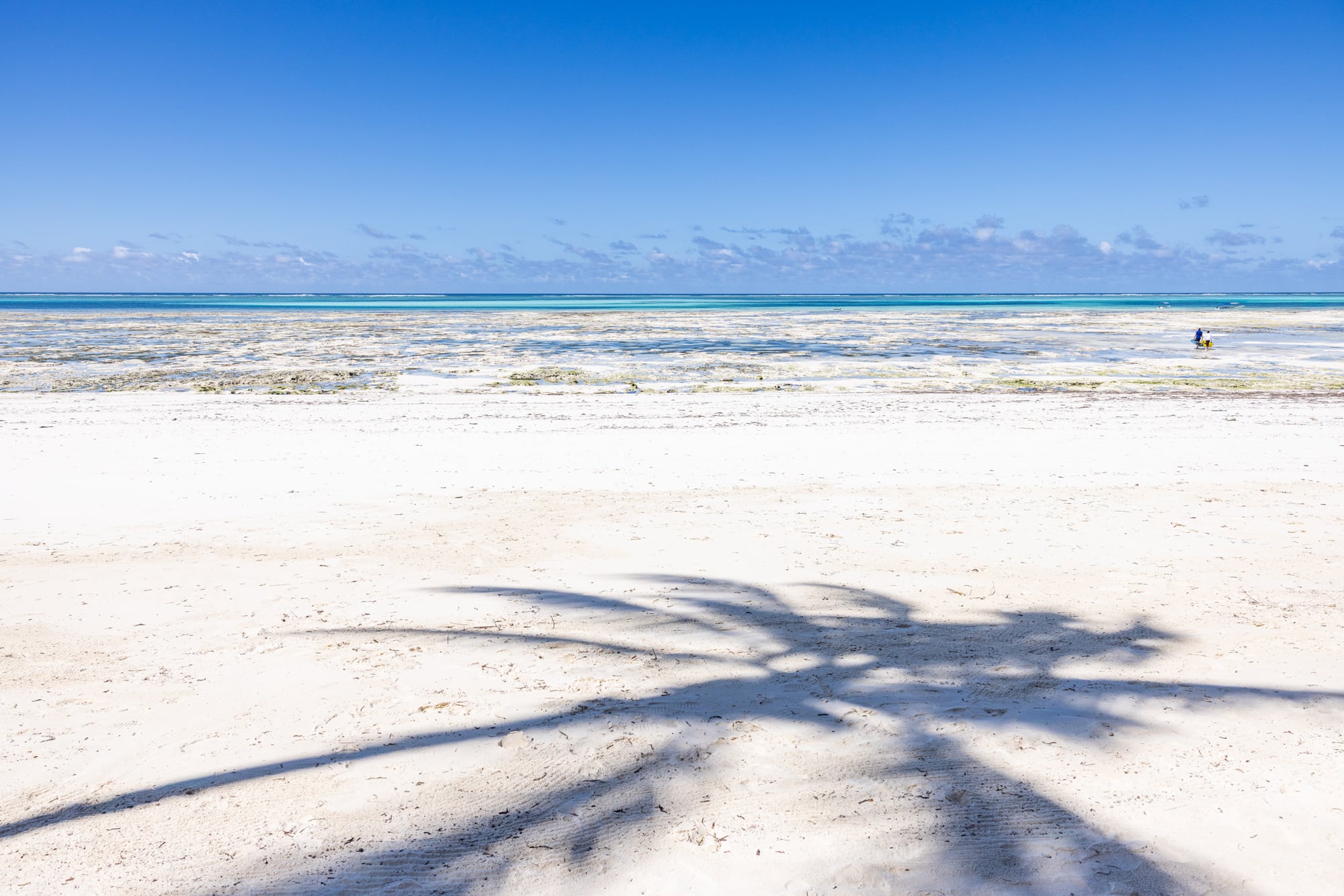 The beach directly in front of Matlai: white sand, palm shadows, shallow water over the reef flat.