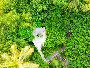 hidden dining spots in the garden