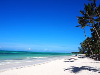 white sand beach Michamvi Pingwe Zanzibar