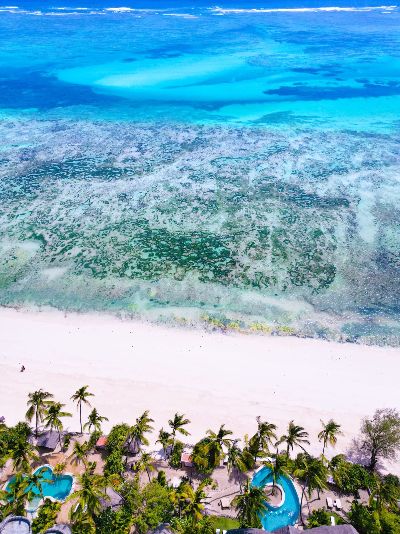 Michamvi Pingwe: Zanzibar's Quiet Peninsula Beach
