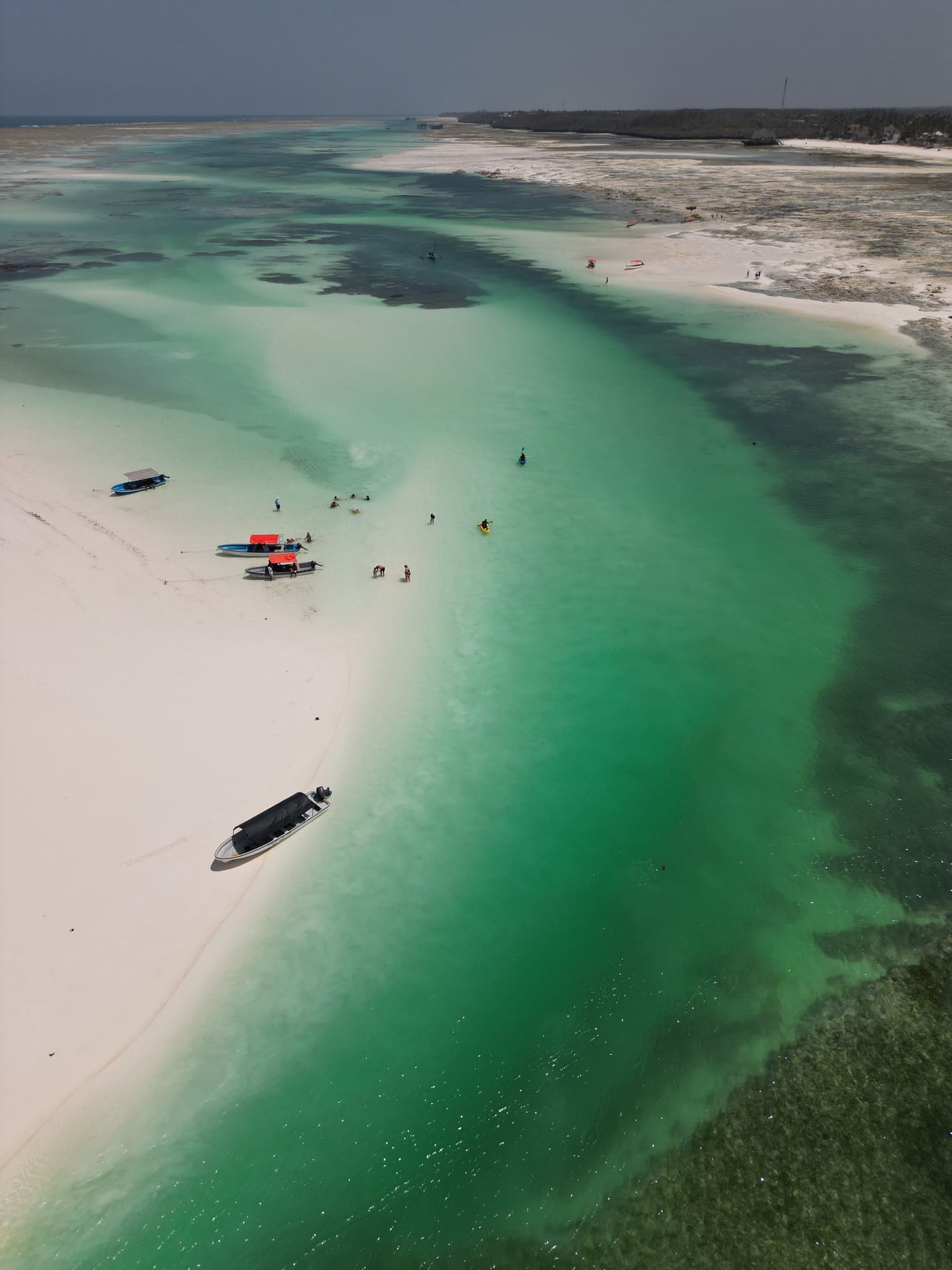 Michamvi Pingwe beach Zanzibar aerial view