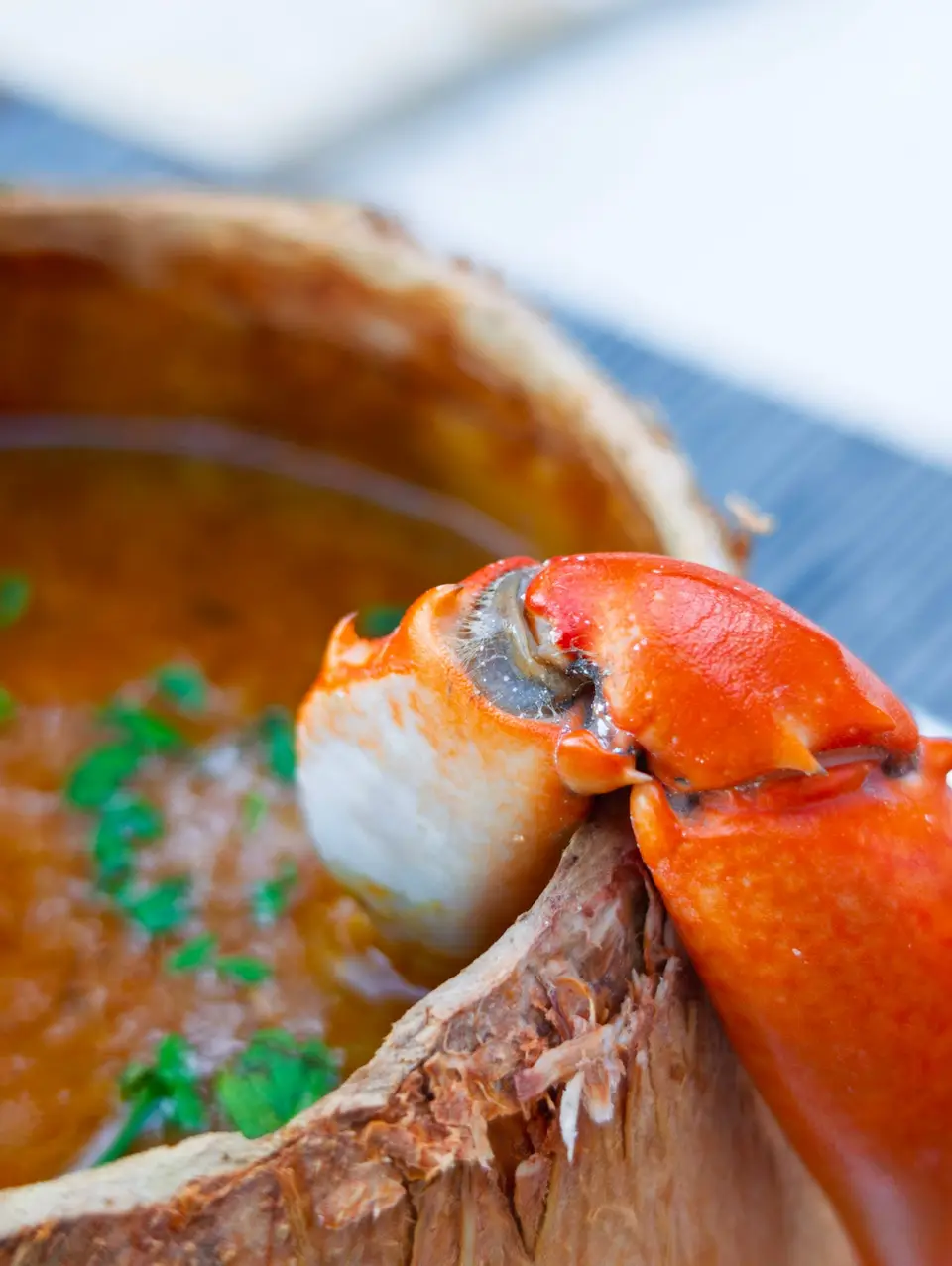 Coconut Crab Soup served in a coconut with crab pincer at Zatiny Restaurant, Boutique Hotel Matlai Zanzibar.