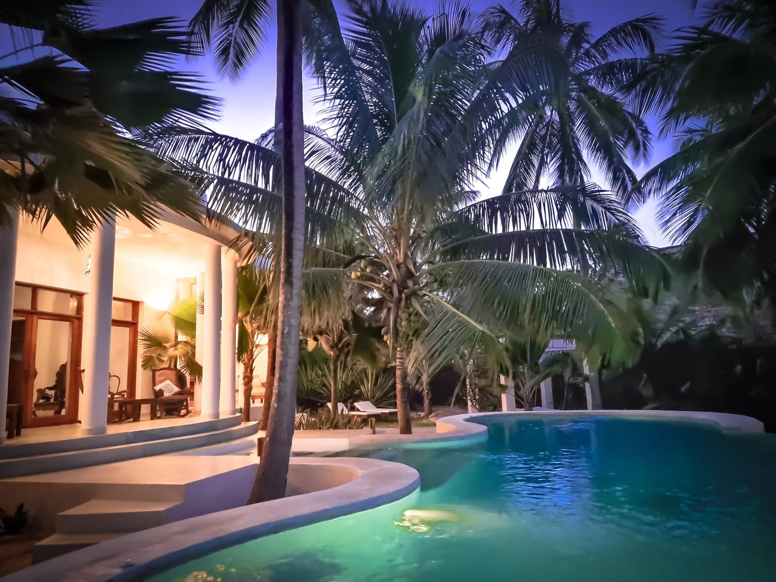 Villa Kidosho's pool at dawn, palms above still water