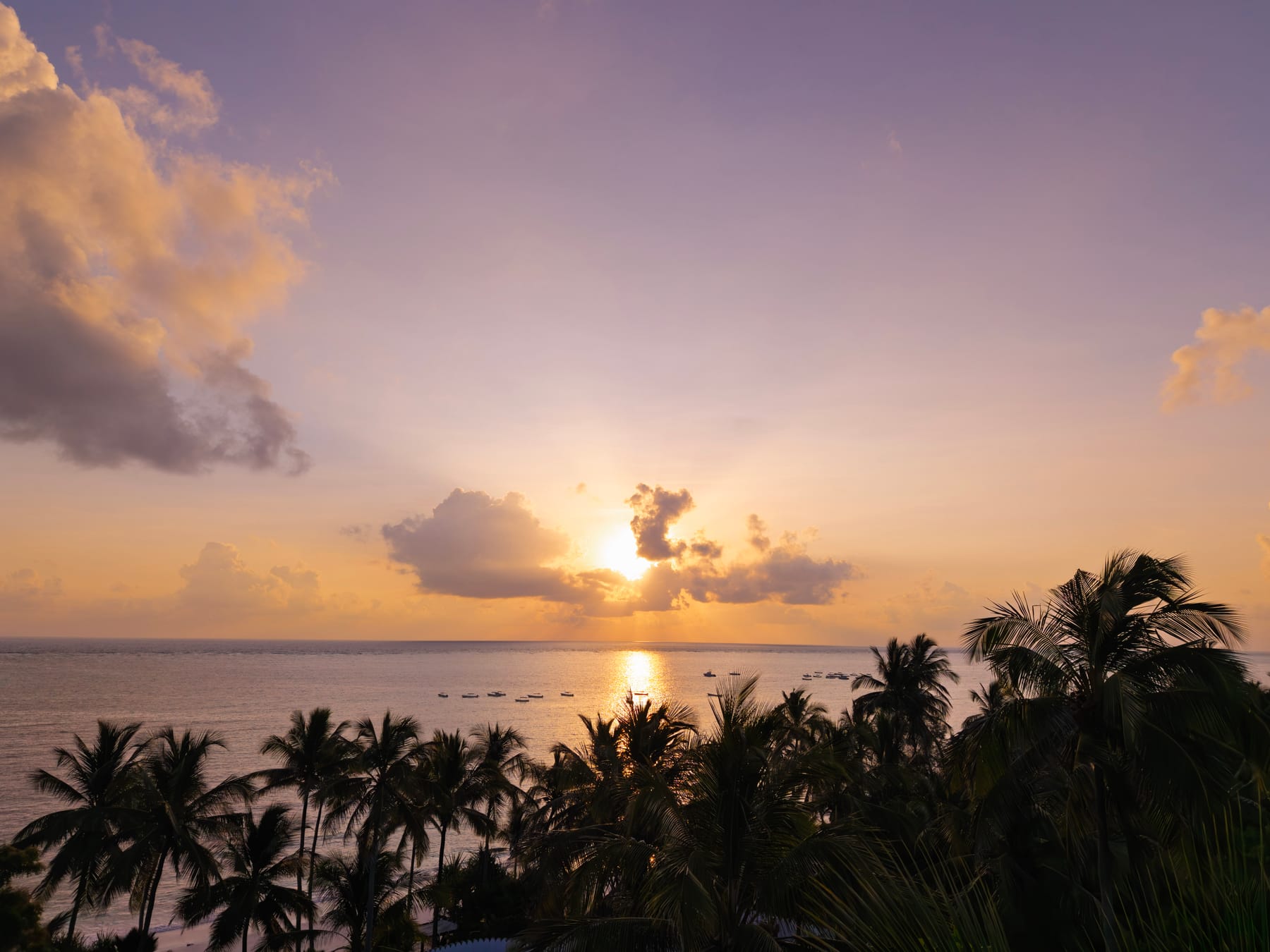 Sunrise over the ocean with palm trees and boats at Michamvi, Zanzibar